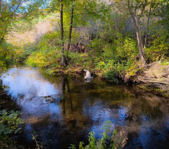 Прогулка в сентябре