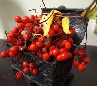 Рябиновые бусы