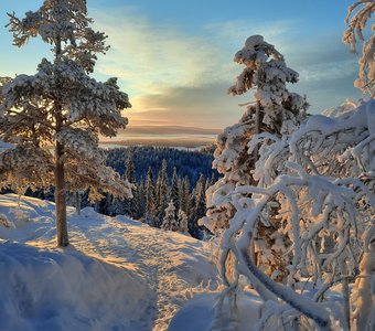 Солнечный день
