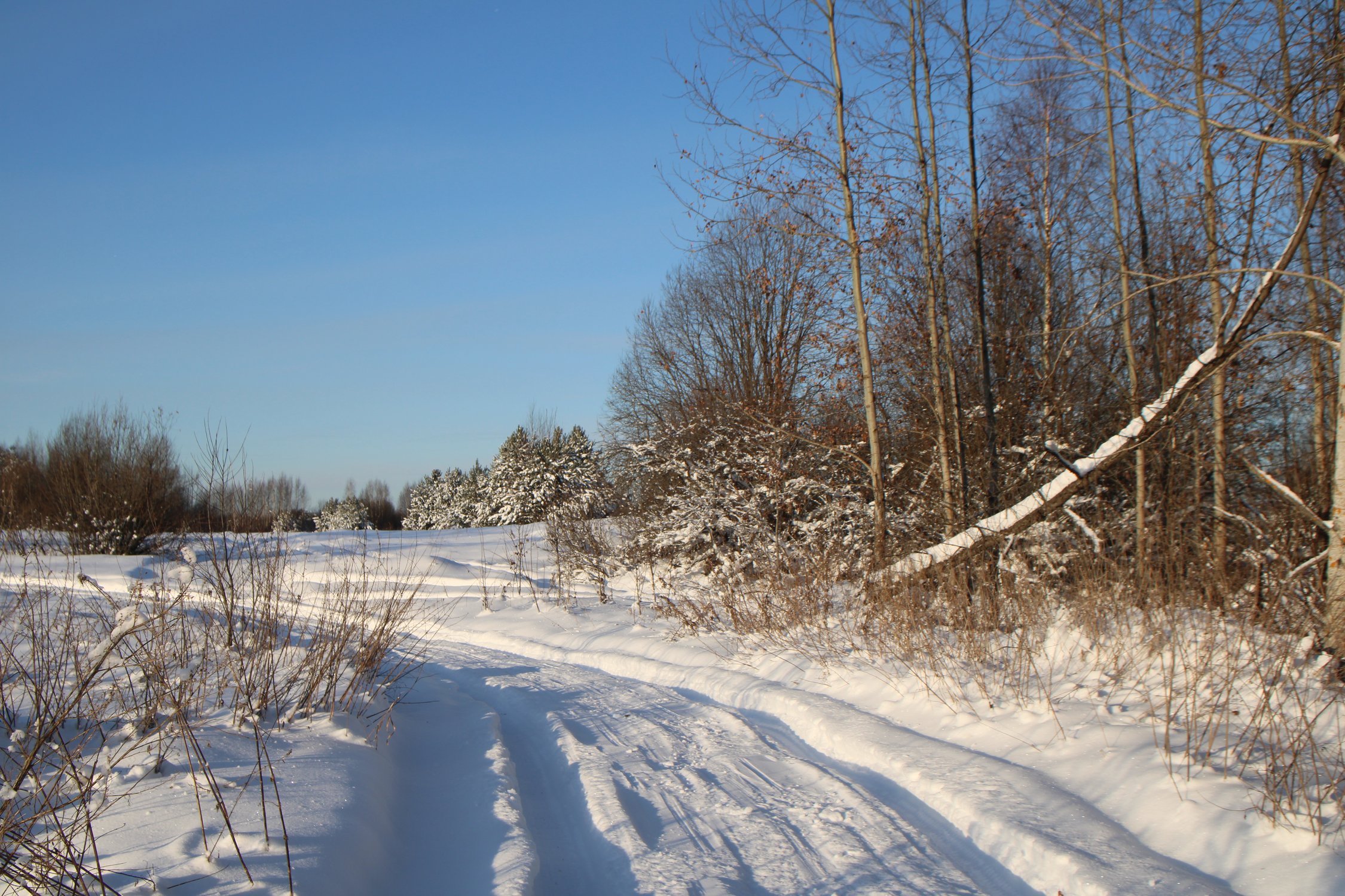 На подъезде к родной деревне. Грунтовка зимой