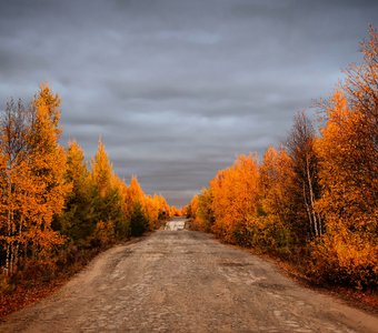 Дорога в аэропорт.