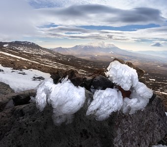 СЕРЕБРО КАМЧАТКИ