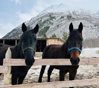 Внимательно.