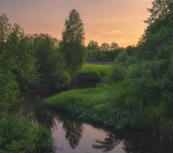 В свете летнего заката