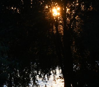 Янтарь заката