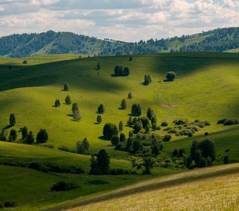 Солонешье.