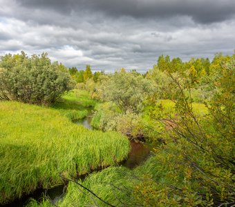 Осень пришла