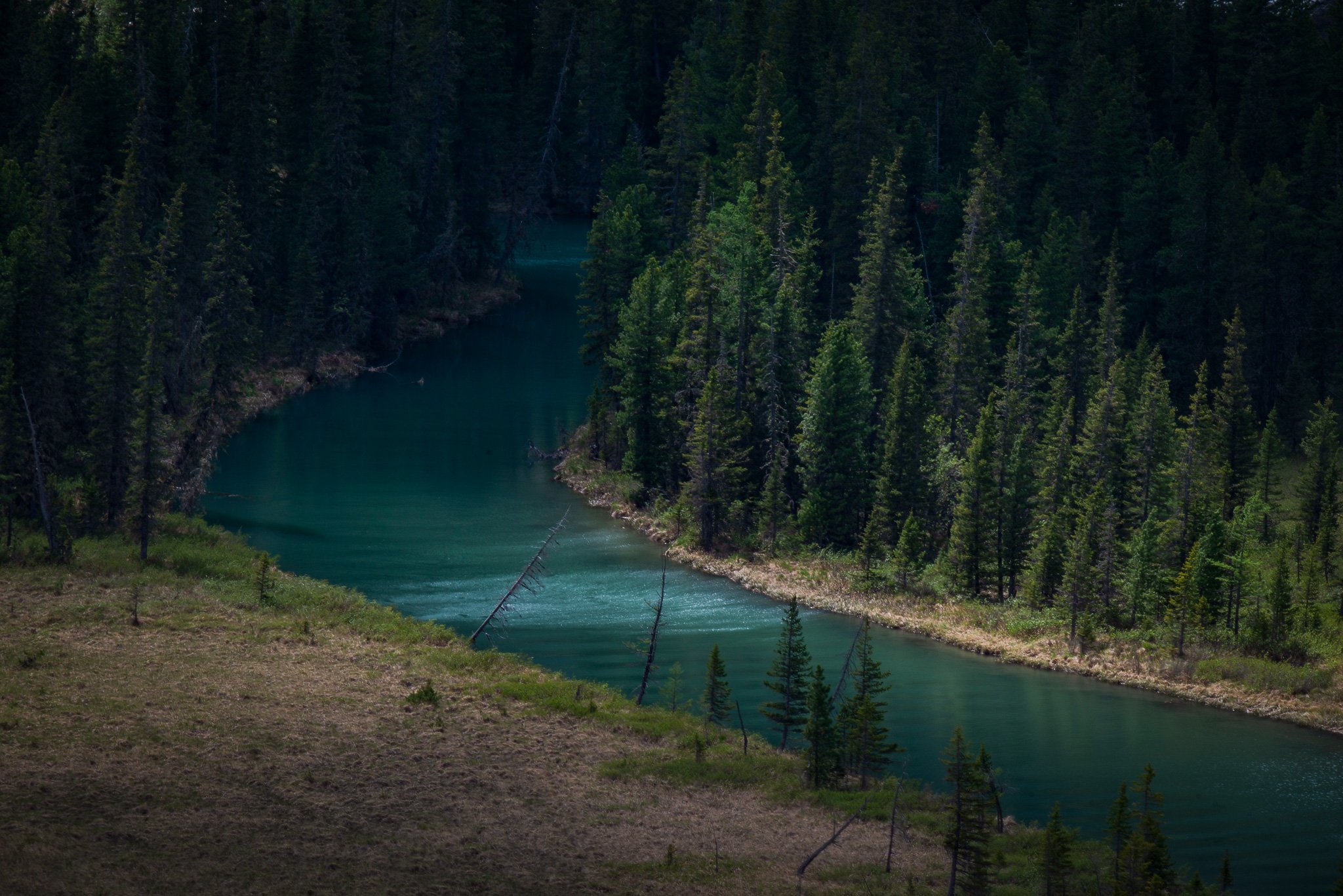 Река Мульта