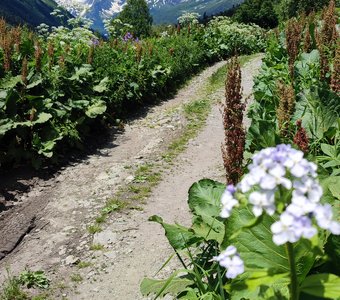 Дорога под облаками