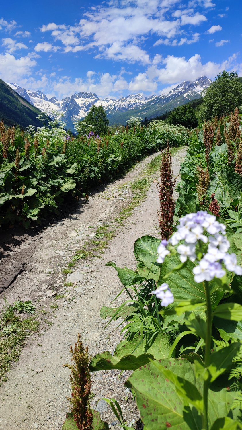 Дорога под облаками