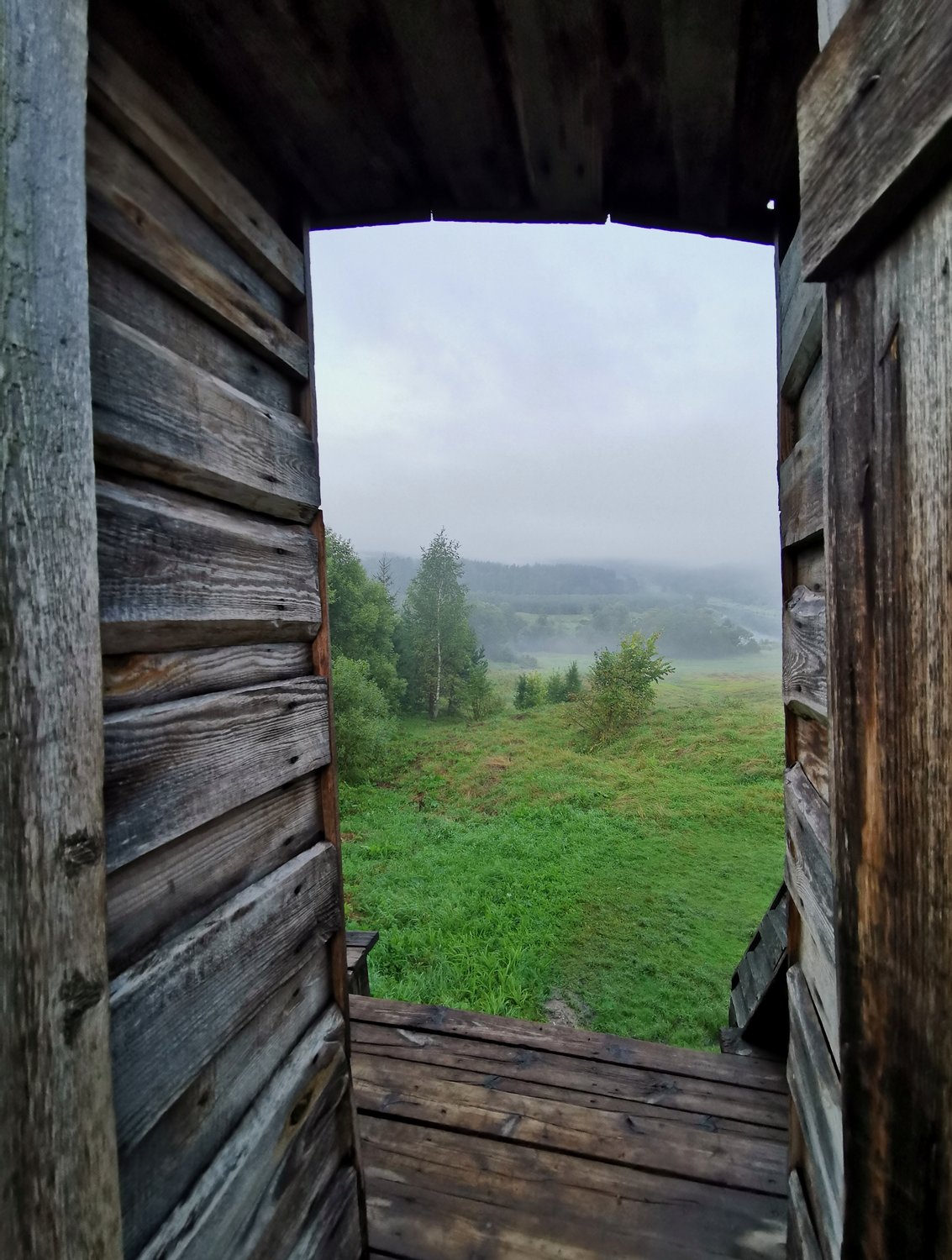 Дверь в лето