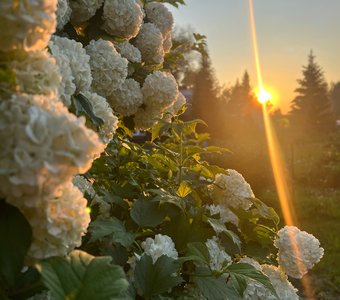 А через минуту после этого кадра мимо пробежал зайчик.