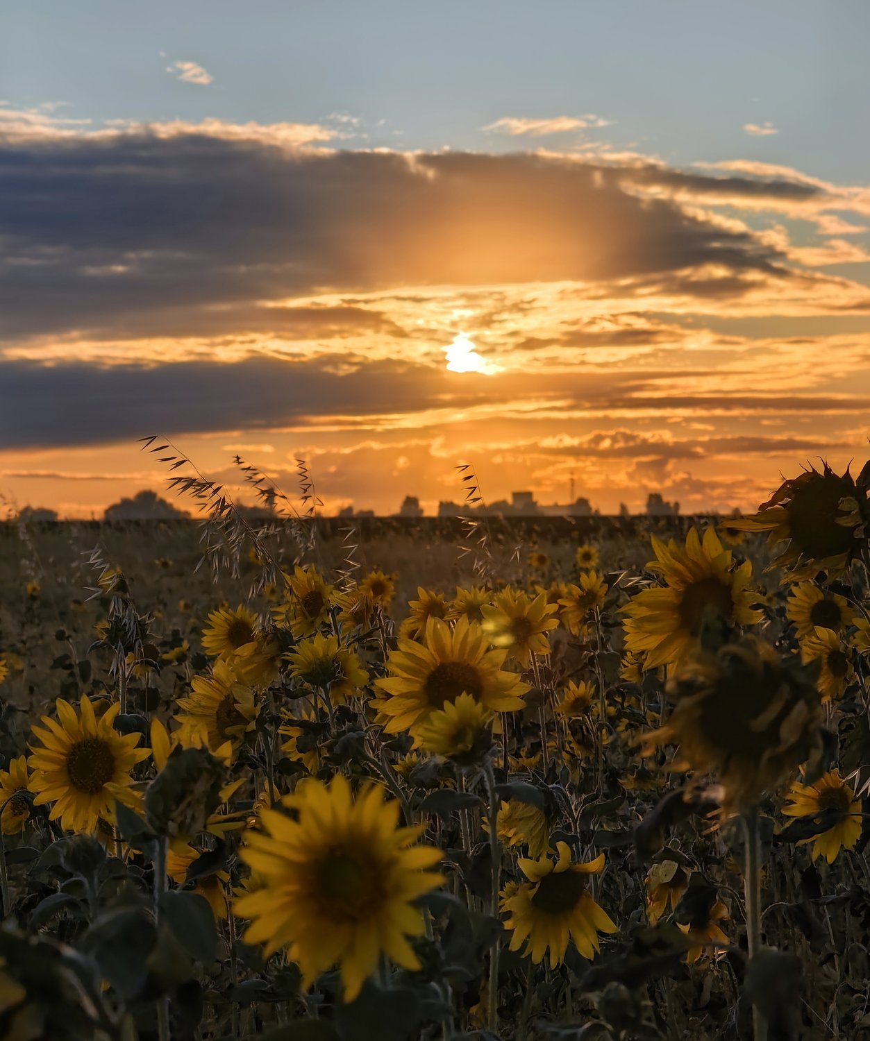 Лето в деревне