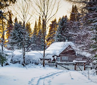 Уютный вечер на пасеке