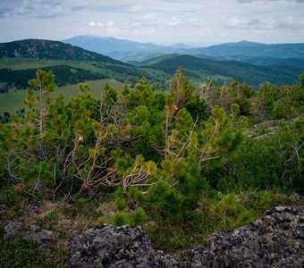 Бащелак