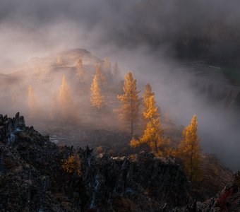 Пробуждение осенней долины