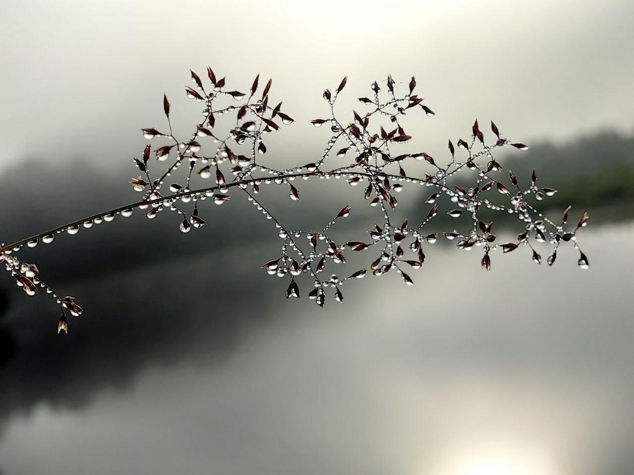 Сто росинок малой Родины