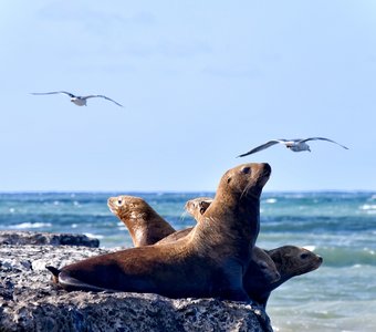 На краю России