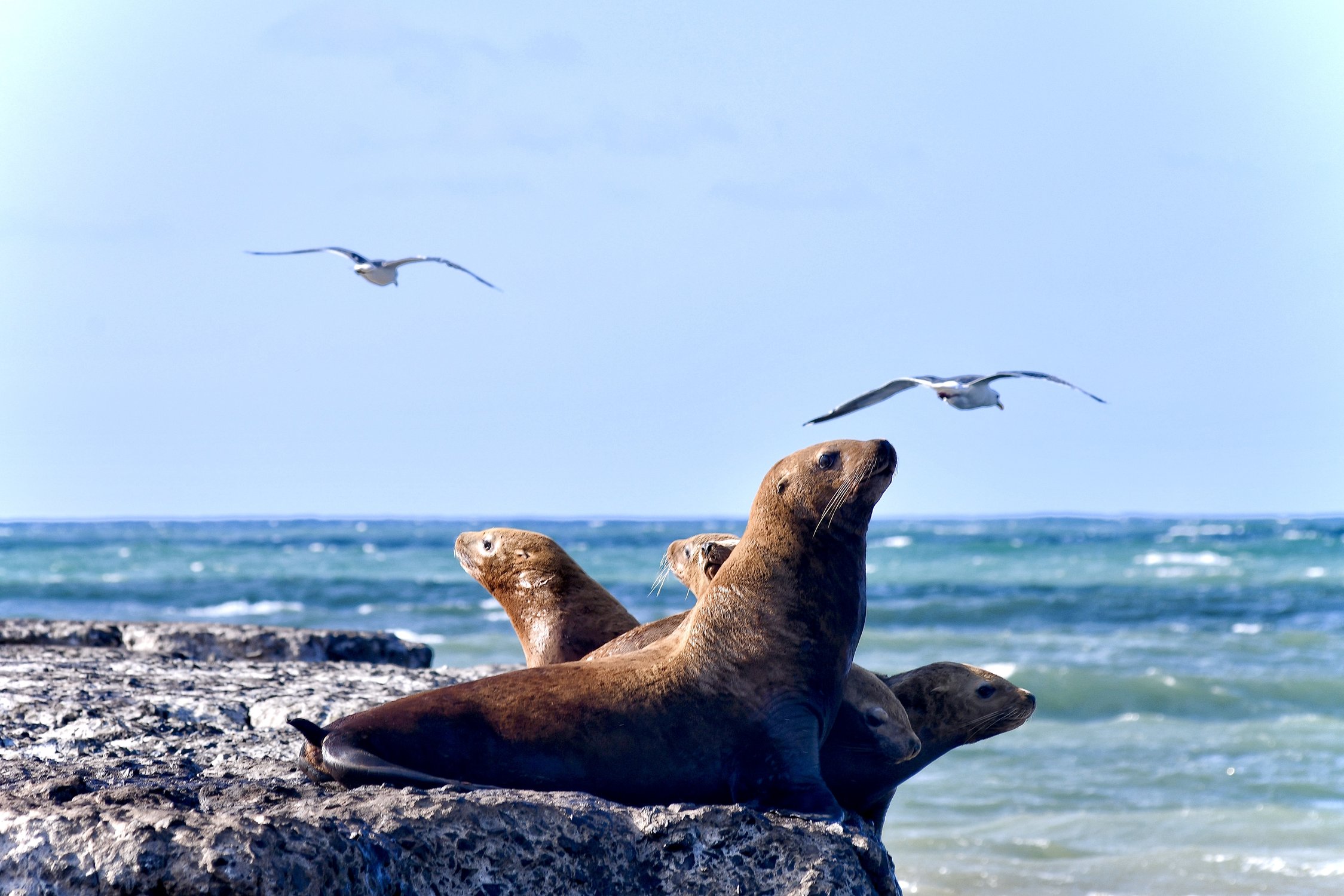 На краю России