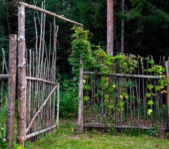 Двери в лес