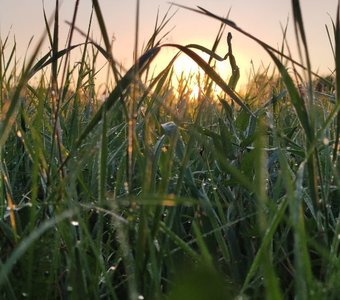 Холодное утро