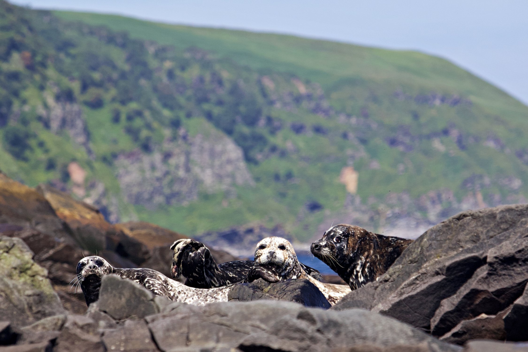 Любопытство берет верх над осторожностью