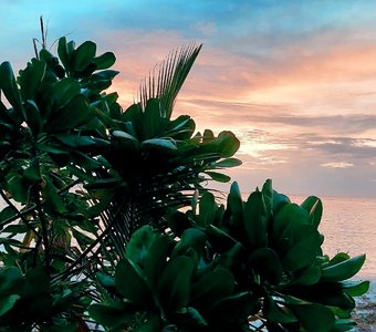 Закат на экваторе