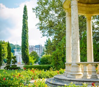 Солнечное утро