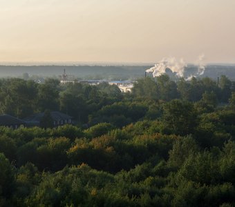 Панорама кировского леса