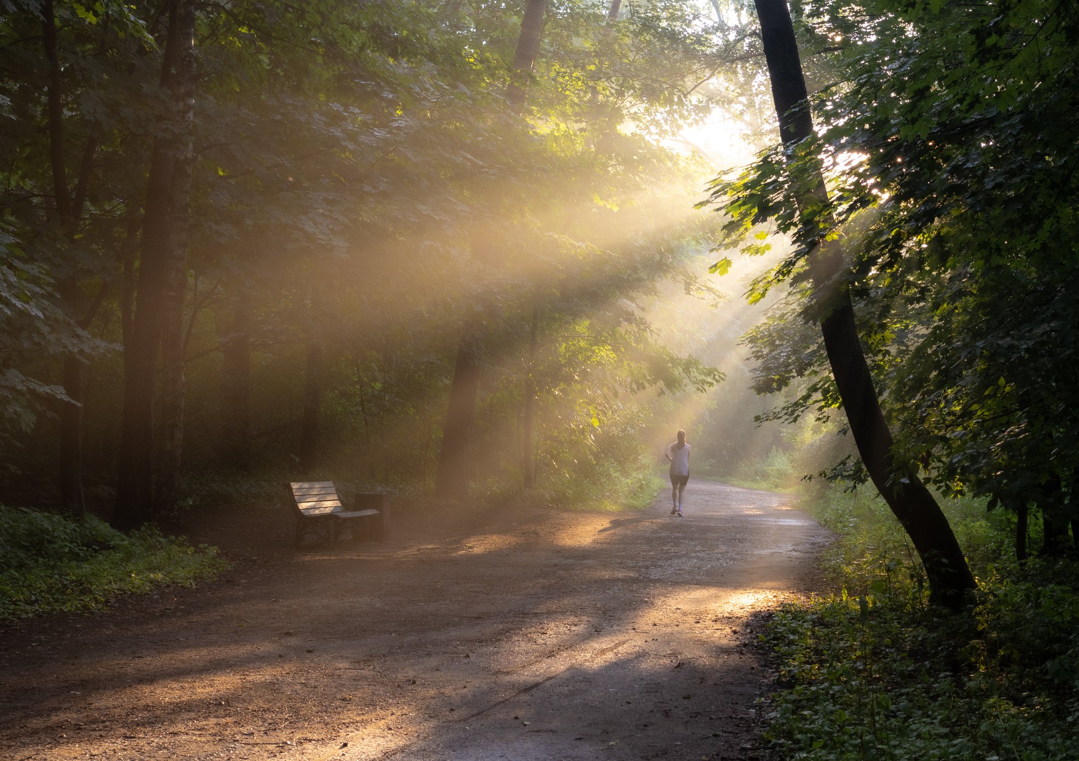Летний вечер