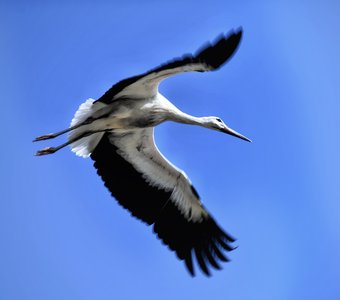 Обнимая небеса