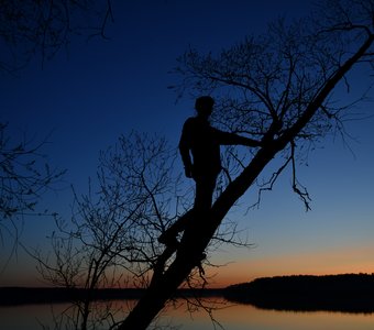 Властелин ночи