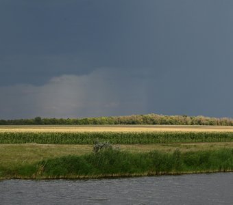 Перед дождём