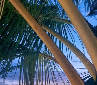 Закат на острове