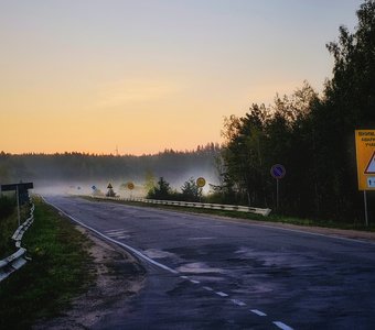 Большой переход диких животных