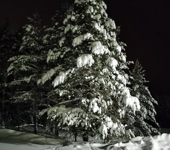 Зимняя ночь