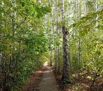 Зеленый рай!