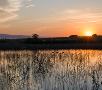 Закат на деревенском пруду