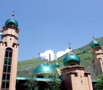 Зеленый цвет - цвет Рая