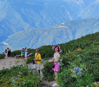 Восхищение