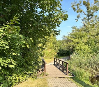 Тропинка в лето