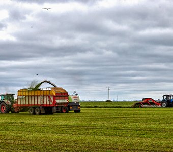 Дружная команда