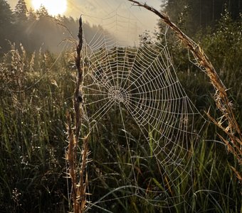 Природная геометрия