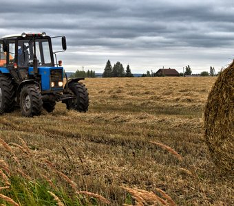 В полном разгаре полевые работы