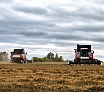До встречи!