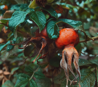 После дождя