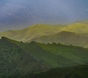 Зеленое море