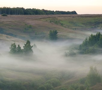 Пронские туманы