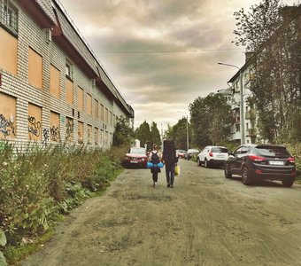 Разговоры о печеньках