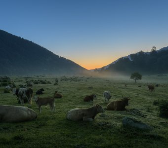 Рассвет в долине реки Аксаут